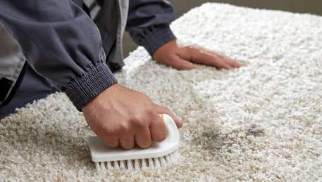 Professional Rug Cleaning Thomson