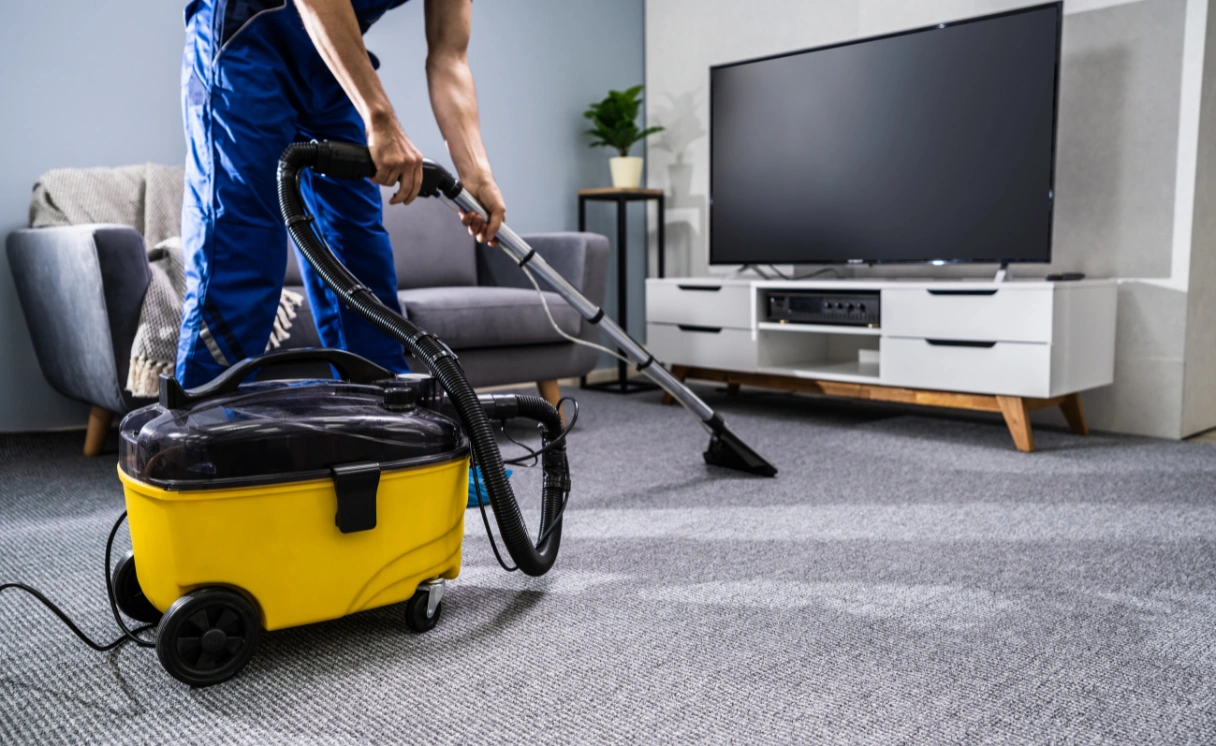 Extract Rug Cleaning Thomson Contact Office